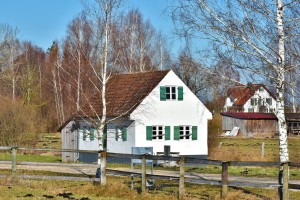 farm