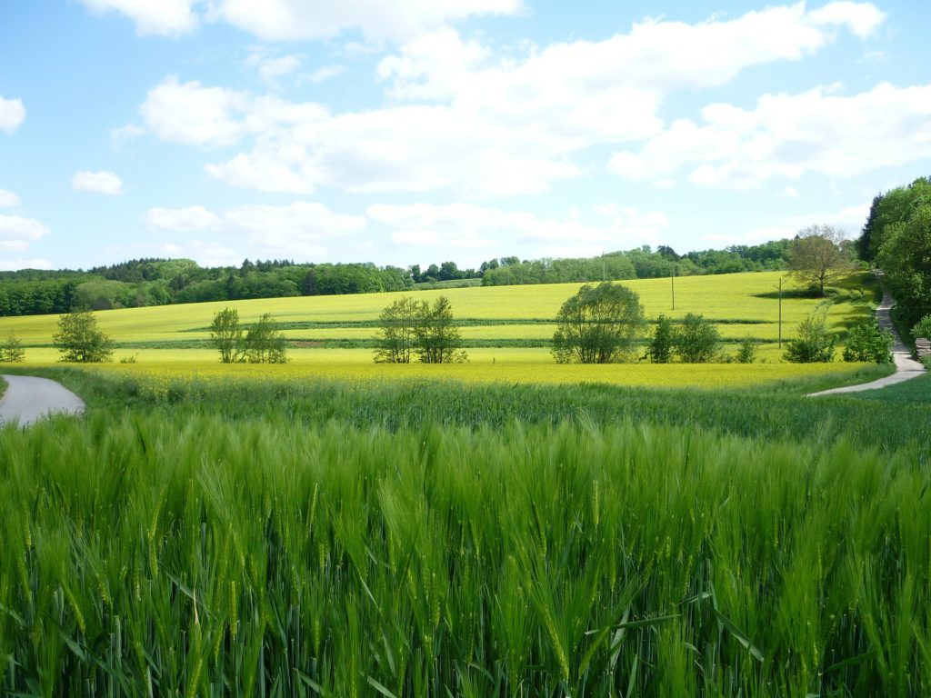 rozstabla